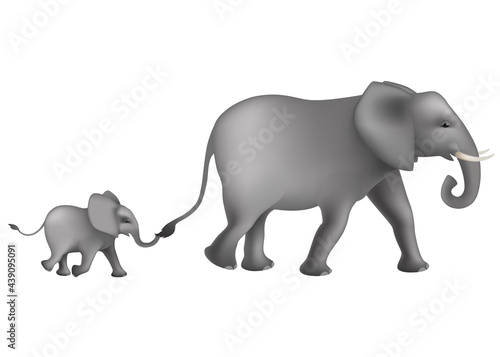 Running two big and little African elephants . cute elephants  Loxodonta africana  on white background. vector illustration isolated.