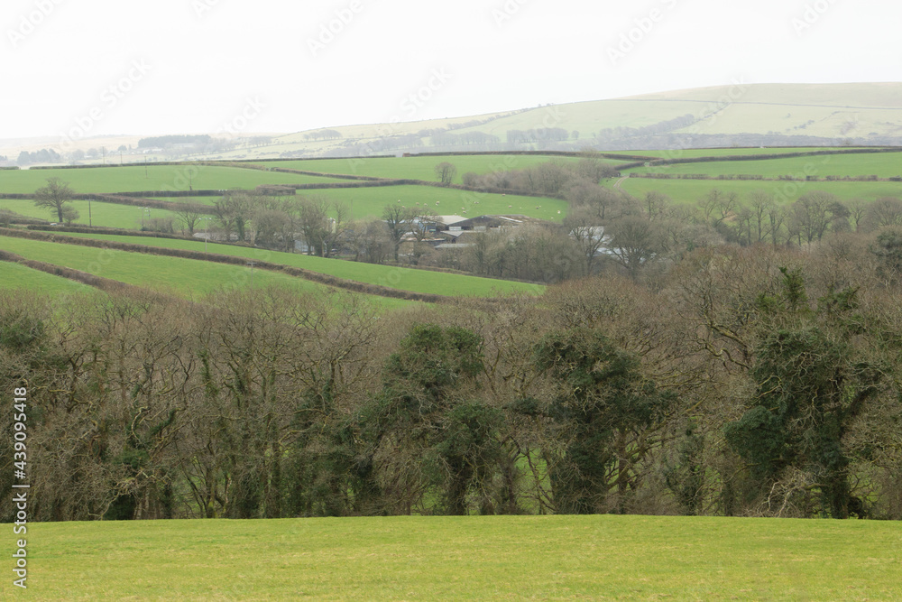 farm and golf course on the edge of Dartmoor National Park with trees and fields