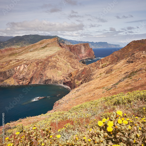 Beautiful seascape with yellow flowers in foreground. East Madeira coast. Atlantic ocean. Favorite touristic destination.