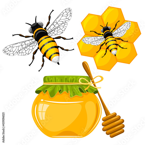 Set of cartoon bee, honeycomb, honey jar with fabric cover and wooden stick. Beekeeping objects. Vector illustration. 