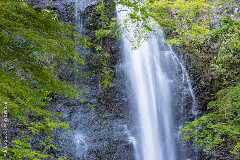 箕面の滝