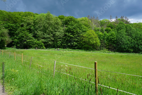 Blick über die Wiese auf einen Weg im Firnsbachtal bei Schauenburg