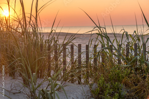 Dune fencing with beach sunrise