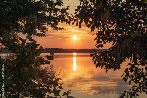 Lake sunset through the trees with sunlight reflection on the water