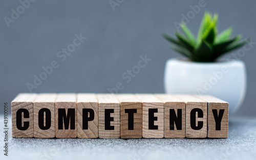 COMPETENCY - word on wooden cubes on a gray background with a cactus photo