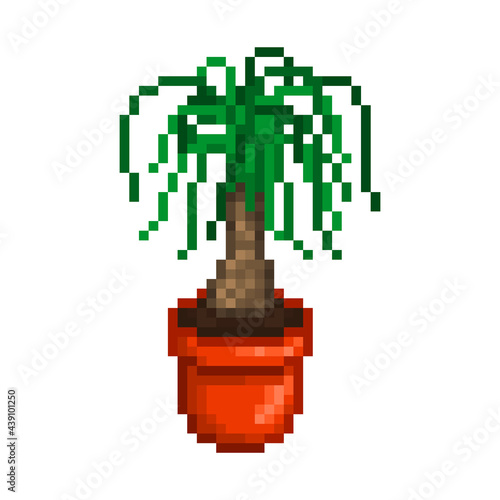 Ponytail palm in an orange pot, pixel art icon isolated on white background. 8 bit decorative houseplant. Home, office, room interior element. Old school vintage retro slot machine,video game graphics