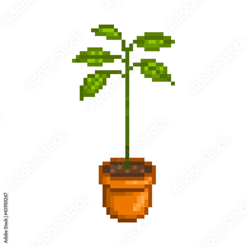 Avocado in an orange pot, pixel art icon isolated on white background. 8 bit decorative houseplant. Home, office, room interior element. Old school vintage retro slot machine, 2d video game graphics.