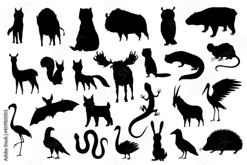 Silhouette animals of europe. Nature fauna collection. Geographical local fauna. Mammals living on continent. Vector illustration