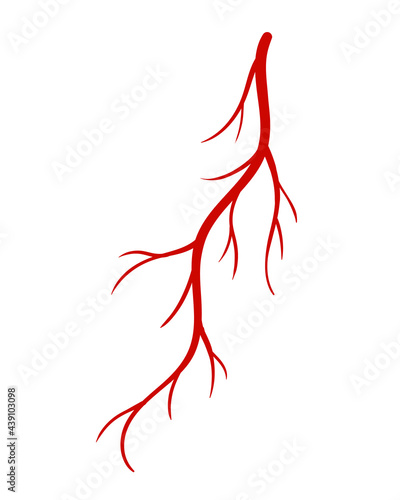 Human veins. Red silhouette vessel, arteries or capillaries on white background. Concept anatomy element for medical science. Vector isolated symbol of blood system