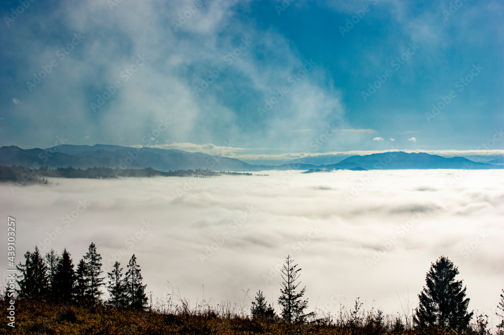 Foggy Morning Foggy Morning