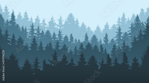 Pine forest landscape. Evergreen spruce tree park view, coniferous forest landscape vector background illustration. Nature evergreen woods panorama