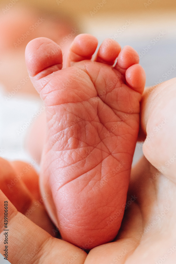 The legs of children in the hands of parents. Baby's feet. The legs of children in the hands of parents. Baby's feet.
