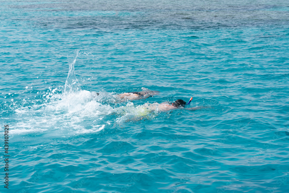 Snorkelers swimming in the water in Red sea