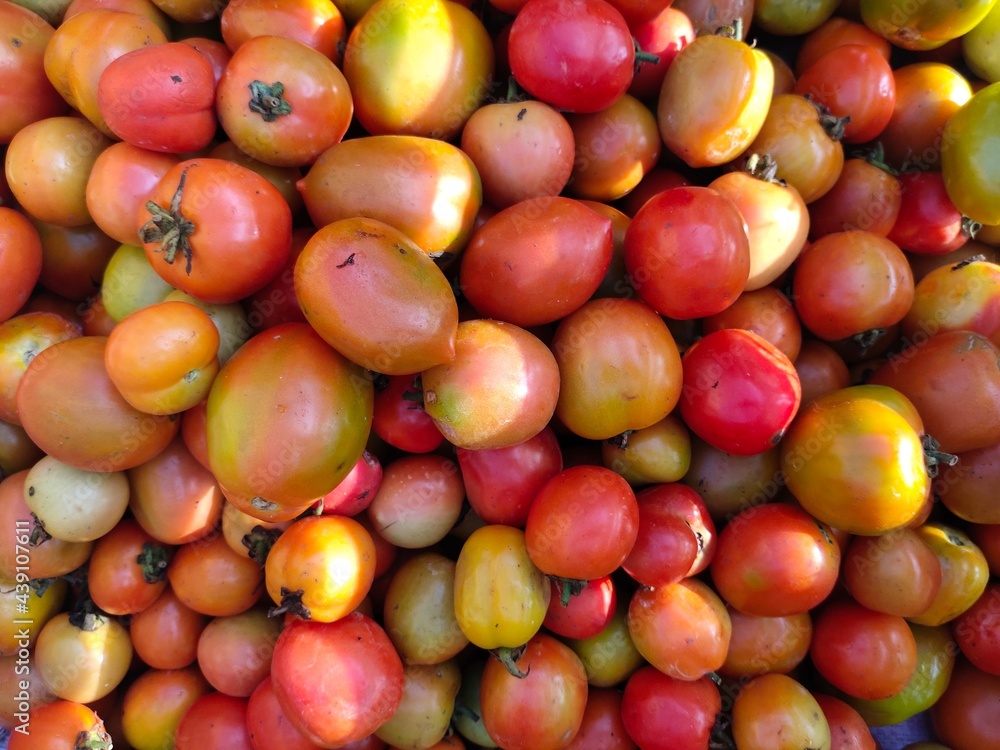 selective focus on tomato(Solanum lycopersicum) in market