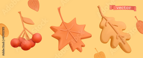 Autumn icon set. Red rowan, orange maple leaf, yellow oak leaf. 3d vector plasticine art objects photo