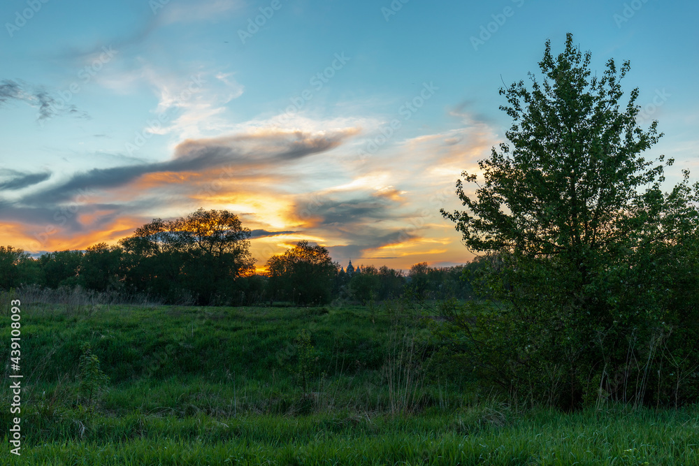 Evening in nature. Wonderful sunset among spring grasses with a unique sky on the horizon. Wonderful sunset over spring flowering meadow. Sunset with a burning sky on a flowering glade in the forest