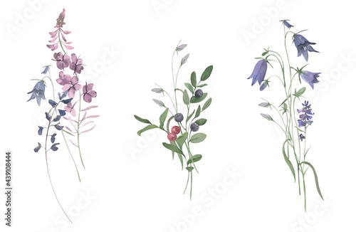 Watercolor hand drawn bouquets of wildflowers and herbs.