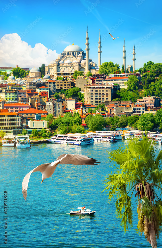 Obraz premium Palm tree and Suleymaniye Mosque