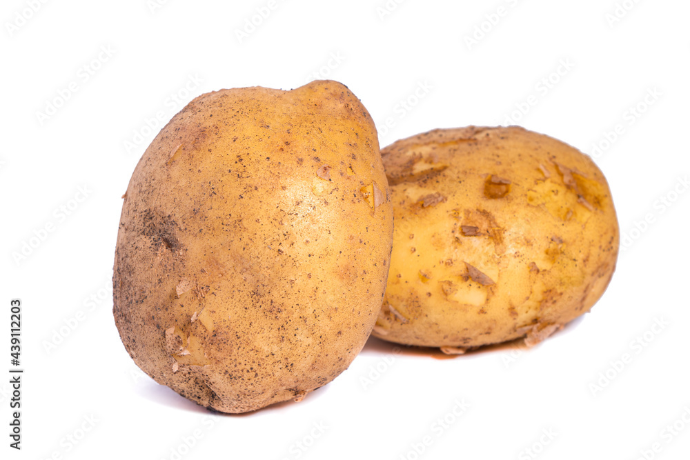 Two dirty potatoes isolated on white background, vegetable Two dirty potatoes isolated on white background, vegetable