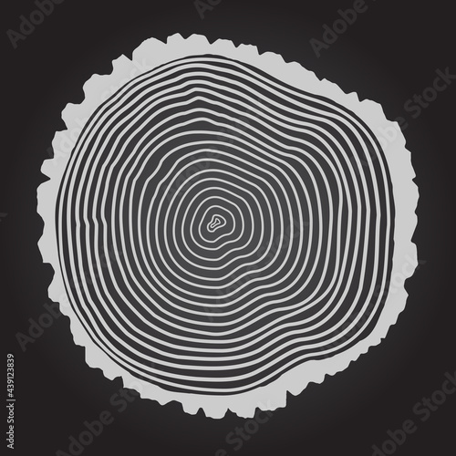 Tree Rings Background Vector Illustration Tree Rings Background Vector Illustration Tree Rings