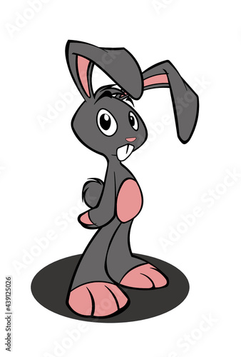 the rabbit