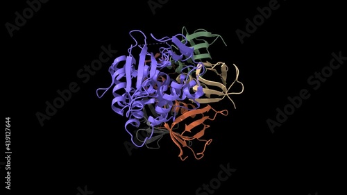 Structure of shiga toxin, B-chain pentamer and A-chain subunit (blue), animated 3D cartoon and Gaussian surface model, black background photo