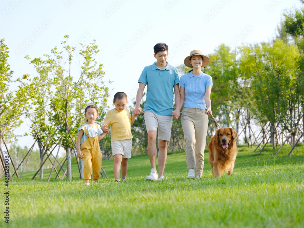 Fototapeta premium Happy family of four walking dogs in the park