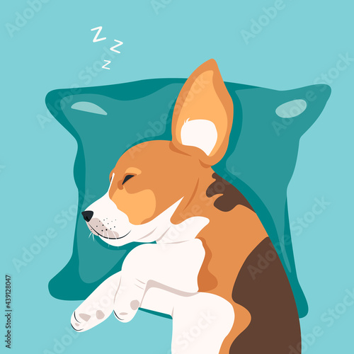 Cute beagle is sleeping on a pillow. Flat vector illustration
