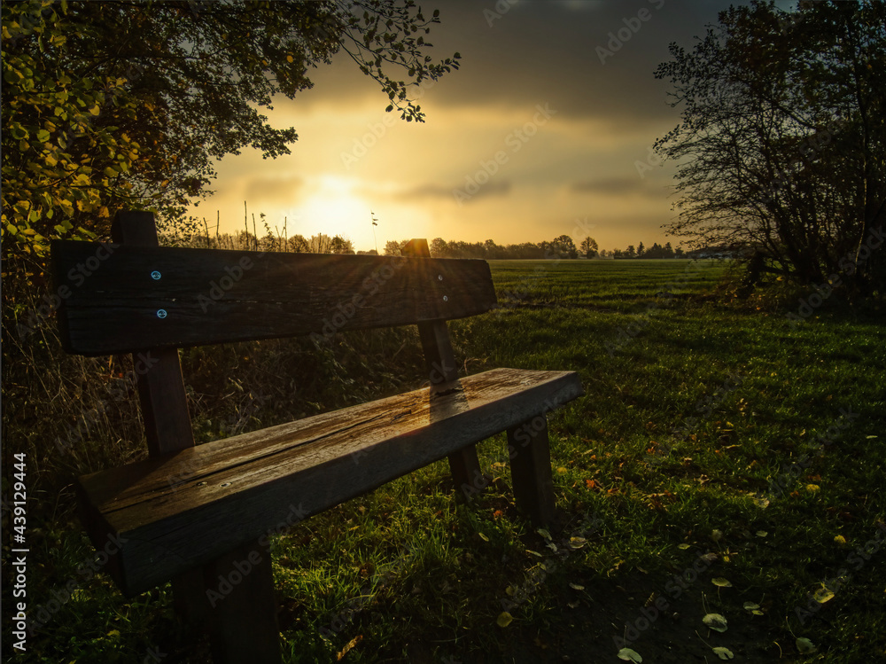 Fototapeta premium bench in the park on sundown
