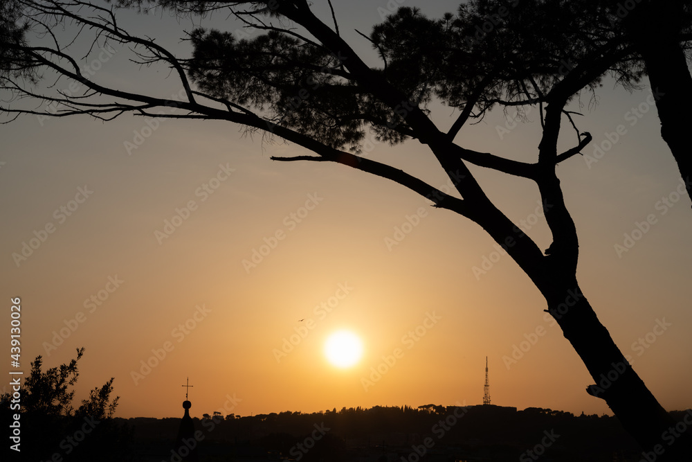 Sunset view from a hill in Rome, framed with old trees and a very detailed ridgeline silhouette in the distance