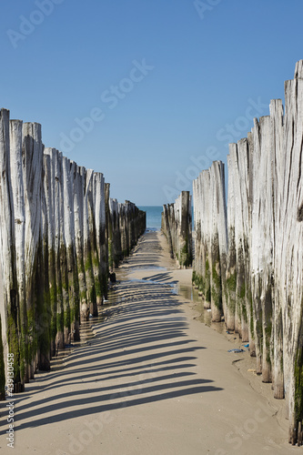 Vertical view on two rows of pile heads leading towards the North sea at sunset during ebb in summer. Seascape on a sunny day with copy space.