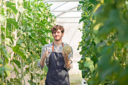 The farmer is checking the quality of the melon at the melon farm.Smiling young handsome Caucasian male farmer in apron holding and checking the quality of an organic melon grown in the hydroponic.