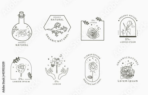 Beauty occult collection with geometric,magnolia,rose,moon,star,flower.Vector illustration for icon,sticker,printable and tattoo