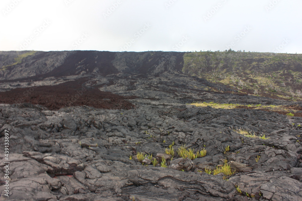 ハワイ島（ビッグアイランド）溶岩に覆われた海岸(黒砂海岸）