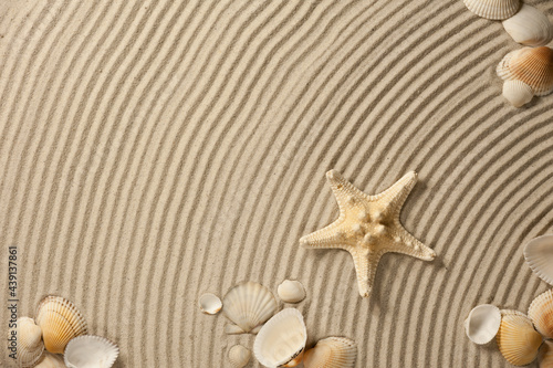 The composition of sea shells and starfish on a wavy textured surface of a sandy beach
