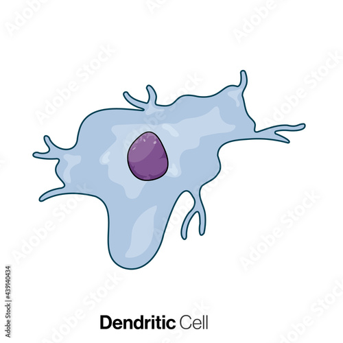 Dendritic immune cell vector illustration in white background.