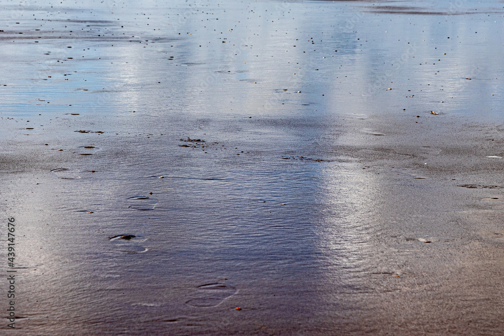 Remnant of water on the sand on the beach with some footsteps, sunny day in Hargen aan Zee, North Holland, Netherlands Remnant of water on the sand on the beach with some footsteps, sunny day in Hargen aan Zee, North Holland, Netherlands