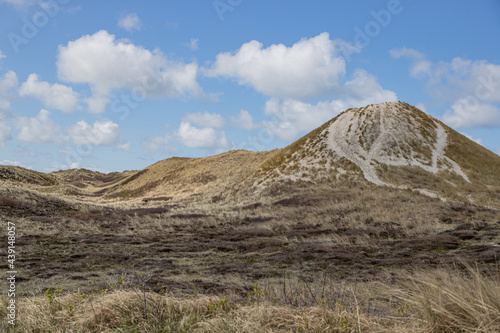 Dune nature reserve with a small mountain with white sand, hiking trails, grass and dry heather, sunny day with a blue sky and white clouds in Schoorlse Duinen, North Holland, Netherlands photo