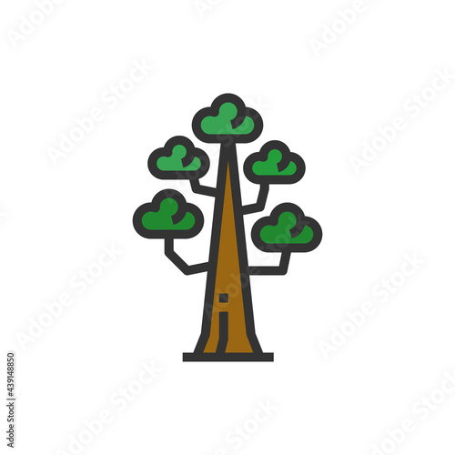 Sequoia Icon Vector Illustration ,Nature ,Wood