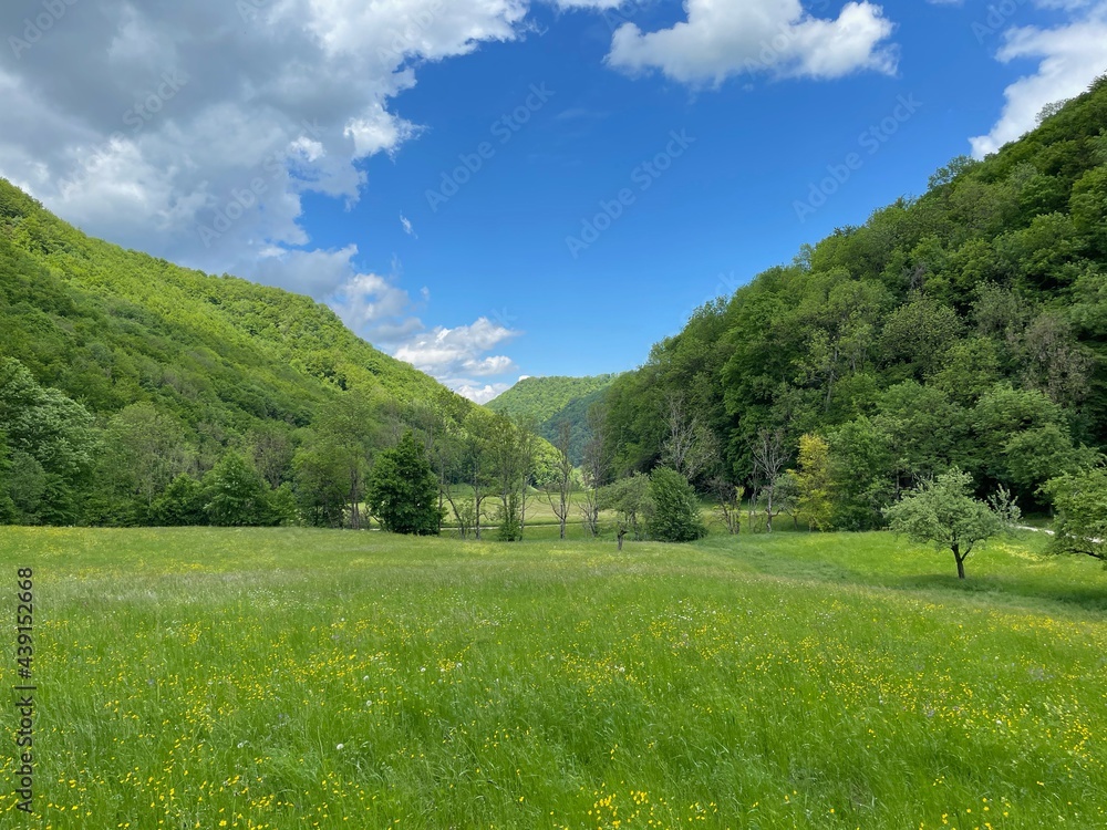 Fototapeta premium Das Donntal in Lenningen-Gutenberg mit den Wiesen und Hangwäldern ist ein ruhiger Ort im Naturschutzgebiet Oberes Lenninger Tal am Trauf der Schwäbischen Alb.