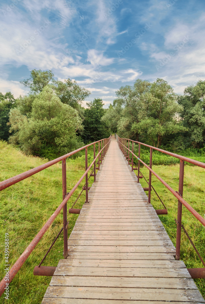 Bridge over a river in the summer forest Bridge over a river in the summer forest