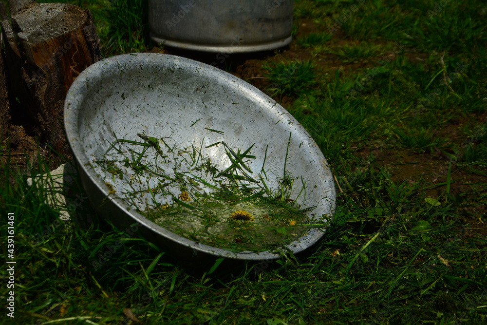 water drops on the grass water drops on the grass