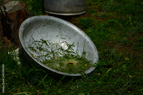 water drops on the grass