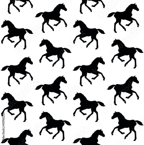 Vector seamless pattern of hand drawn horse foal silhouette isolated on white background