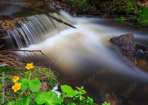 Long exposure smooth flowing water over rocks in forest