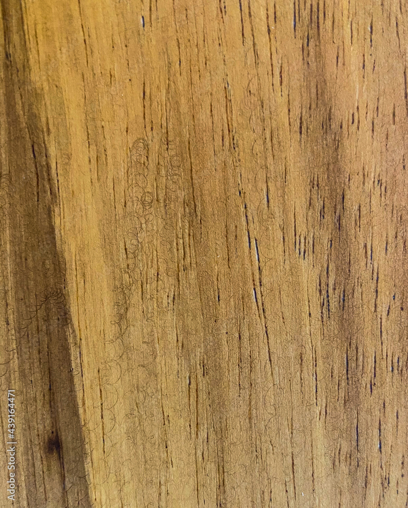 Fototapeta premium Termite free wood with a strong grain