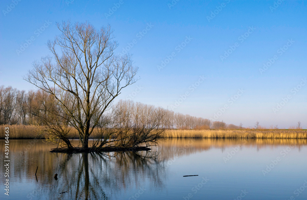 Island in a lake in a nature reserve Island in a lake in a nature reserve