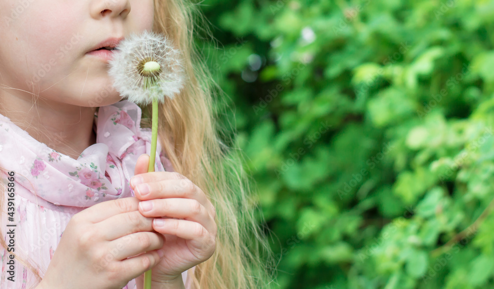 Summer fun, sweet little girl blowing dandelion on the meadow Summer fun, sweet little girl blowing dandelion on the meadow