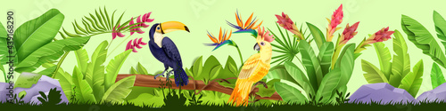 Summer jungle seamless border, vector tropical nature background, toucan, parrot, exotic plants, flowers. Paradise garden frame, Hawaii rainforest floral illustration. Jungle border, stone, grass