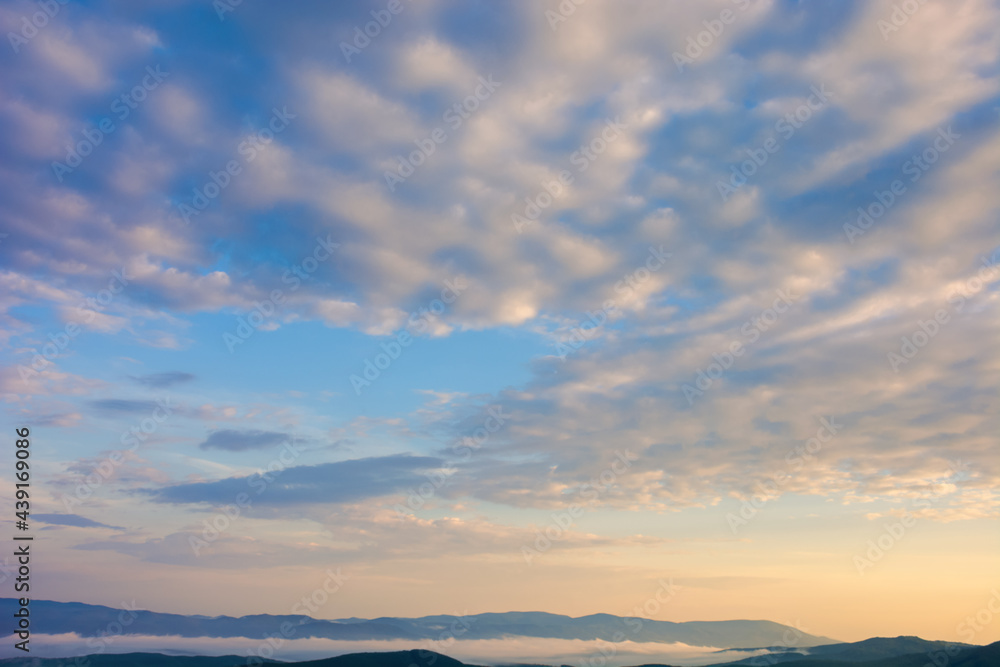 fluffy clouds on the azure sky at sunrise. beautiful nature background. panoramic view in golden morning light